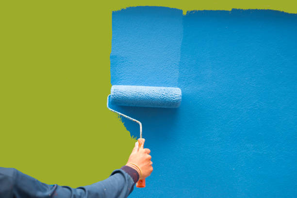 Best Real Estate Mold Inspection  in USA